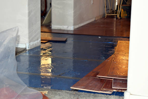Professional Water Damage Restoration technician working in Russells Point, OH